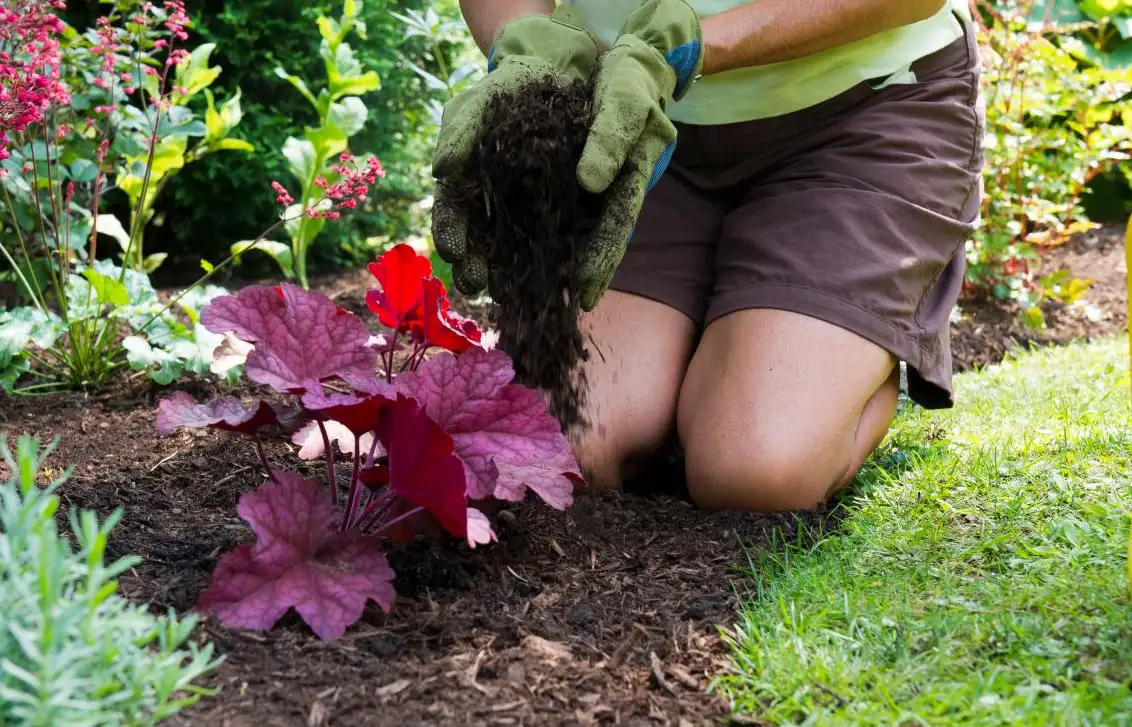 Mulching services richmond tx